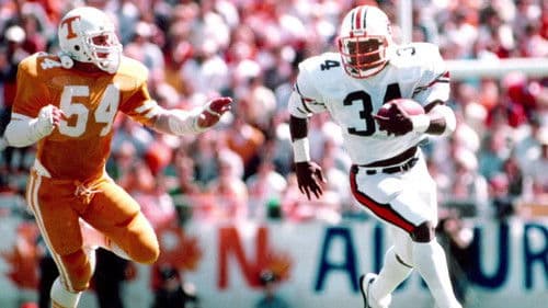 Bo, Barkley and the Big Hurt Bild 5