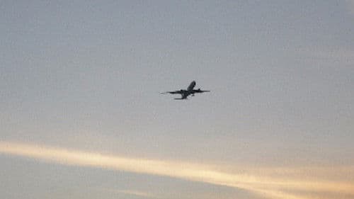 Llamen a un adulto (Sepiaexperimental) Bild 5