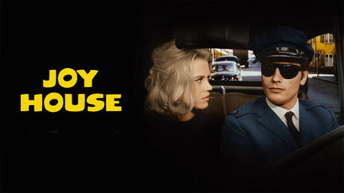 Wie Raubkatzen Bild 8