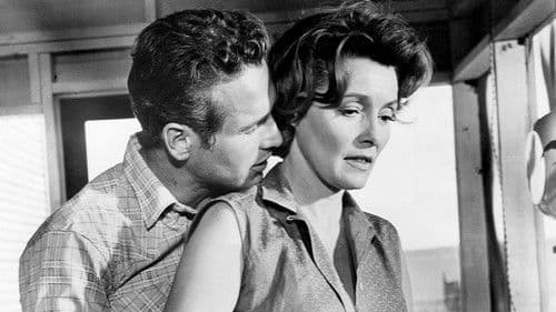 Der Wildeste unter Tausend Bild 7