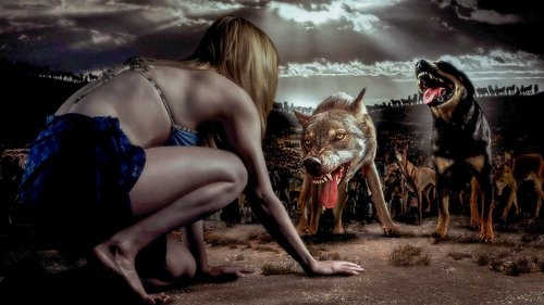 The Breed - Blutige Meute Bild 1