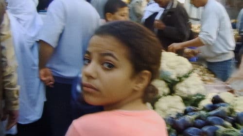 Mit Hasan in Gaza Bild 4