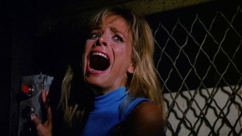 Hide and Go Shriek Bild 5