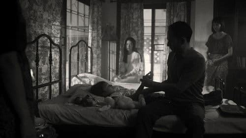 พญาโศกพิโยคค่ำ Bild 4