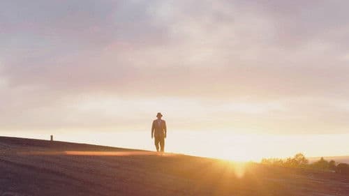 Rohelised kassid Bild 4