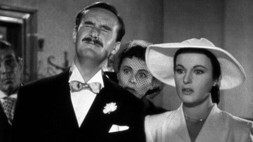 È arrivato il Cavaliere Bild 1