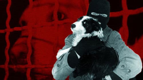 Behind the Mask Bild 1