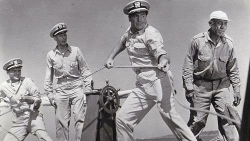 Haie greifen an Bild 2