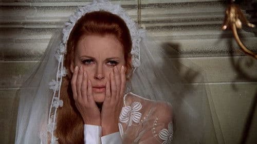 Red Wedding Night Bild 2