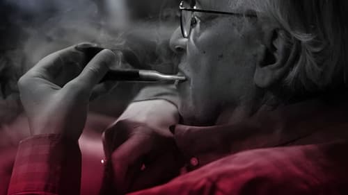 Olavo Tem Razão - O Filme Bild 2