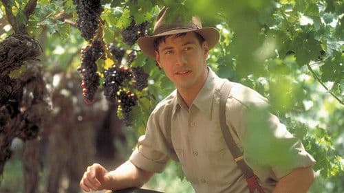 Dem Himmel so nah Bild 3