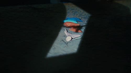 El Vendedor De Globos Bild 2