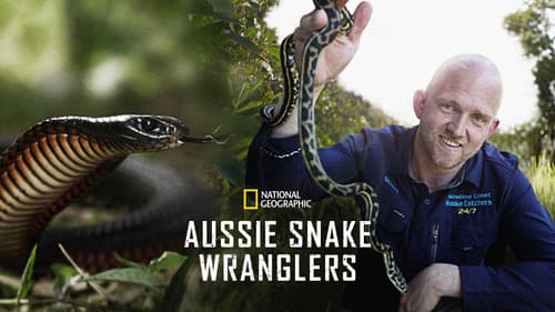 Snake Security Schlangenalarm in Australien Bild 2