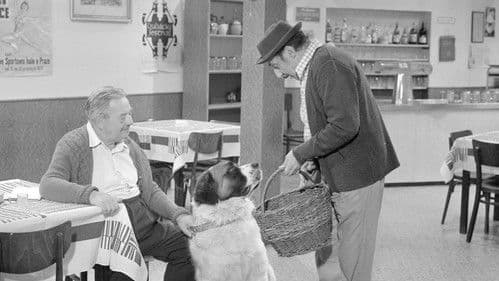 Bohoušův syn Bild 1