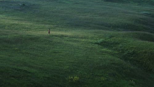 Linije želje Bild 6