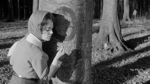 Der rote Kreis Bild 2