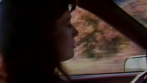 Savage Vengeance Bild 1