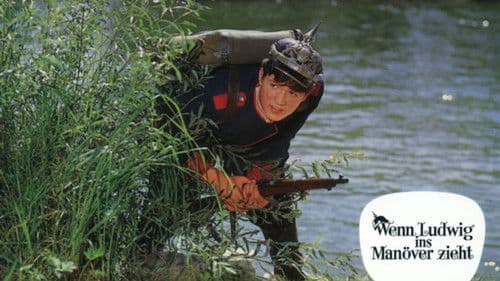 Wenn Ludwig ins Manöver zieht Bild 1