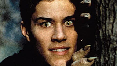 Big Wolf on Campus Bild 1