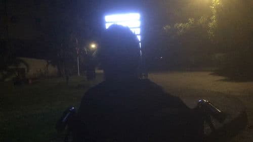 Overnight Day Dream Bild 1