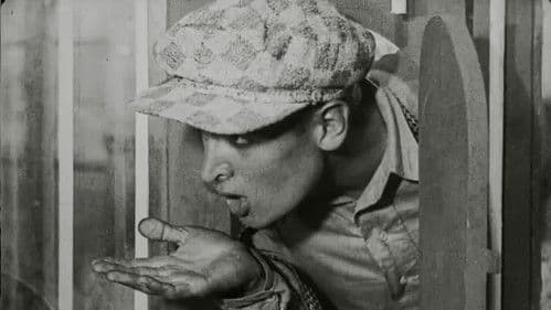 Schwein bleibt Schwein Bild 5