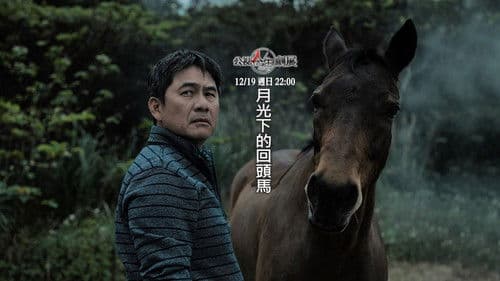 月光下的回頭馬 Bild 1