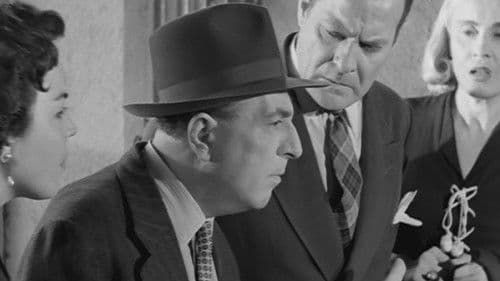 Ο Ζηλιαρόγατος Bild 1