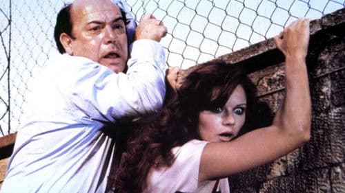 Vai avanti tu che mi vien da ridere Bild 5