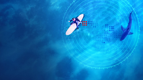 Investigation Shark Attack Bild 4