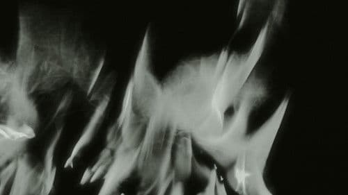 Onun Kanatları Bild 1