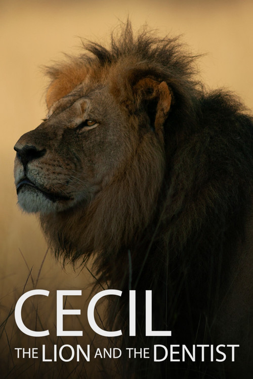 Cecil