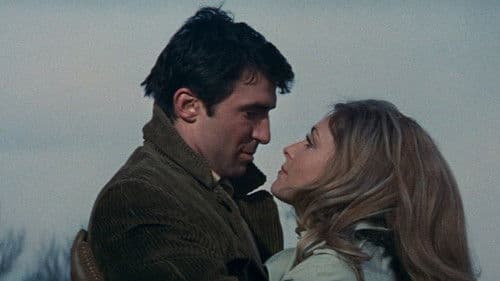 Das Tal der Puppen Bild 3