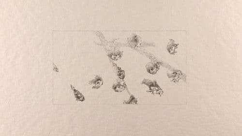 La bride - The dog's drama Bild 1