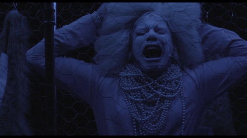 Quem tem medo? Bild 1