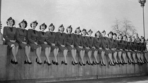 Flying Stewardess Bild 1