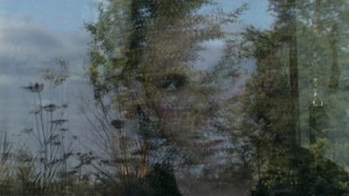 Антон тут рядом Bild 1