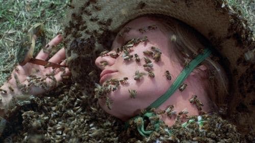 Der tödliche Schwarm Bild 1