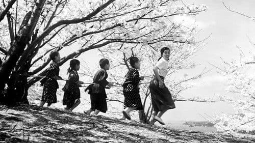 Vierundzwanzig Augen Bild 2