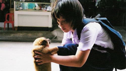 ข้าวเหนียวหมูปิ้ง Bild 1