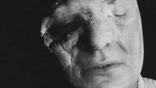 Der Fluch der Fliege Bild 4