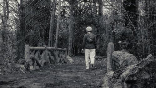 Bill & Ulysse Bild 2