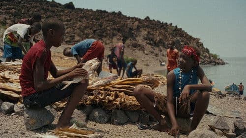 Nawi – Dear Future Me Bild 2