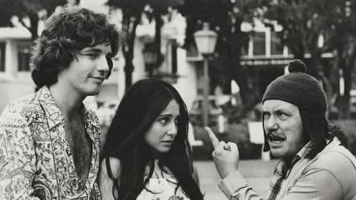 Camomila e Bem-Me-Quer Bild 1