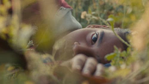 Humans in the Loop Bild 2