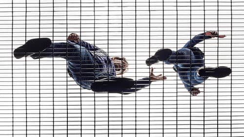 Killer Motive Bild 2