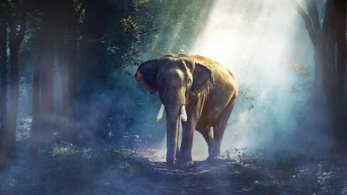 Naturparadiese am Äquator Bild 1