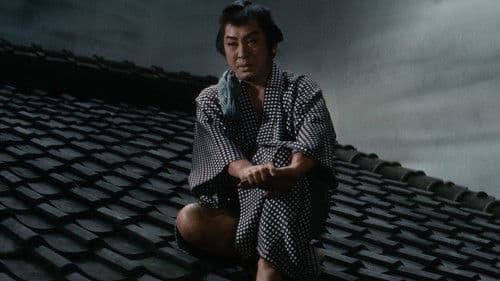 雪之丞変化 Bild 3