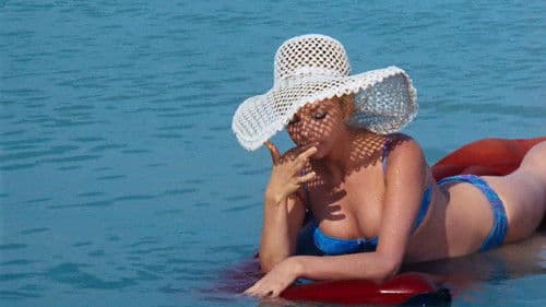 A veréb is madár Bild 3