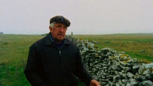 Fårödokument 1979 Bild 1