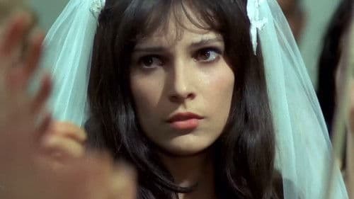 Ilustrate cu flori de câmp Bild 5